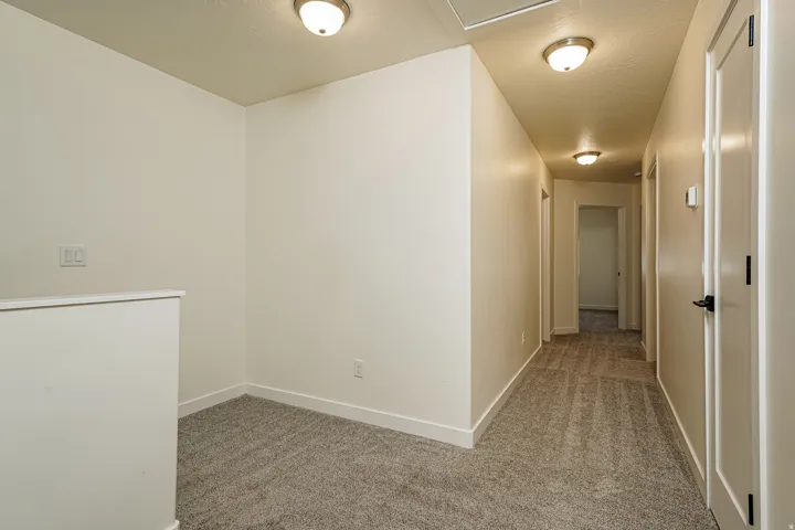 Neutral paint palette throughout, flush mount lighting, textured carpeting, and white interior doors with black hardware