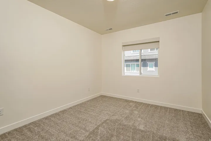 Plush carpet flooring, neutral wall tones, and a window with a roller shade