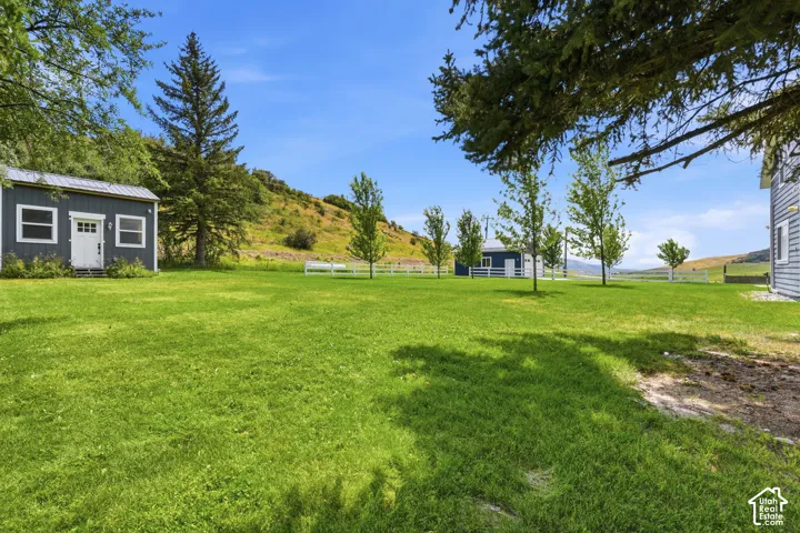 Expansive green lawn with mature trees, a small outbuilding with a white door, and distant hillside views