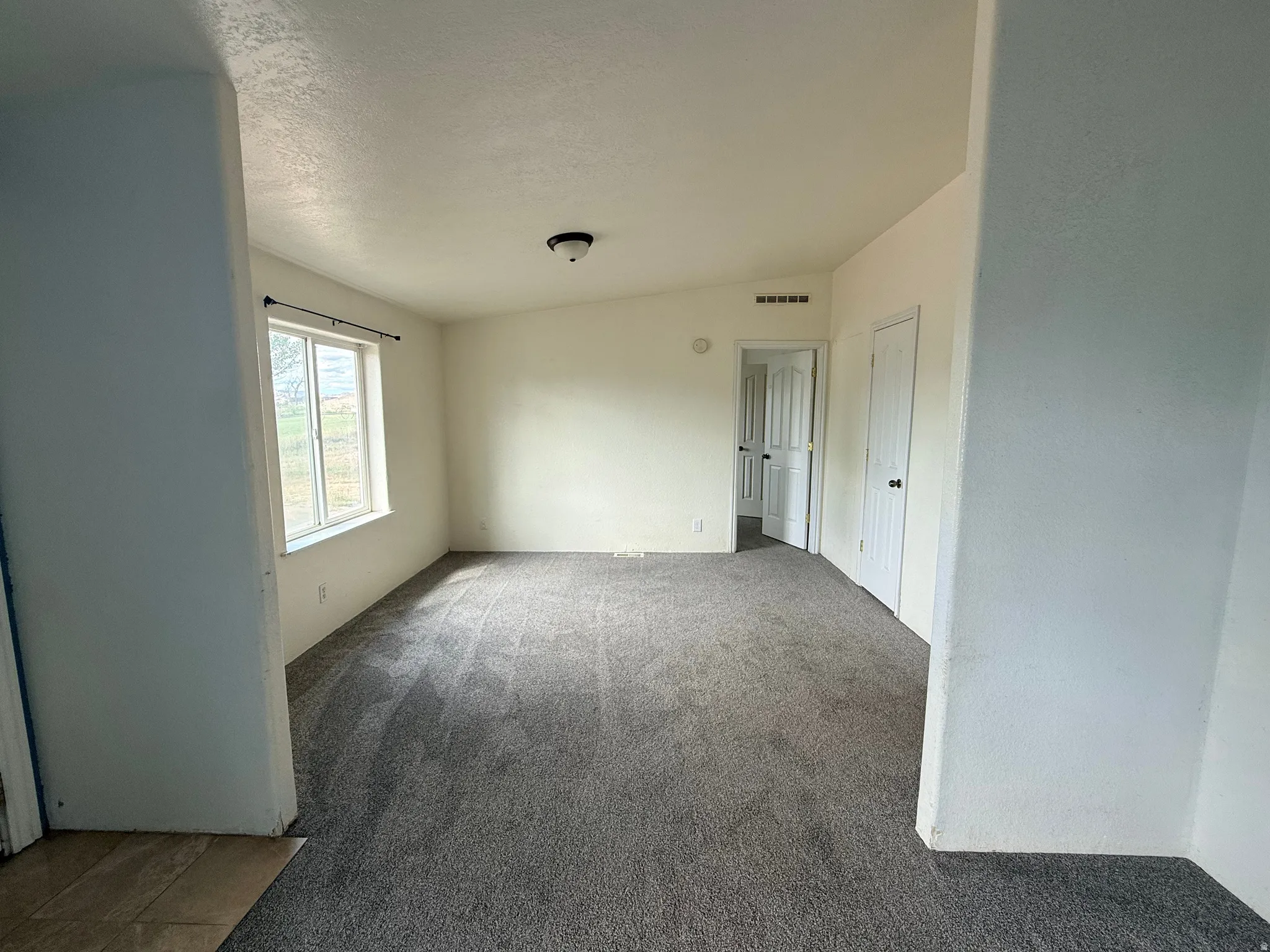 Carpeted flooring, white walls, and a ceiling-mounted light fixture