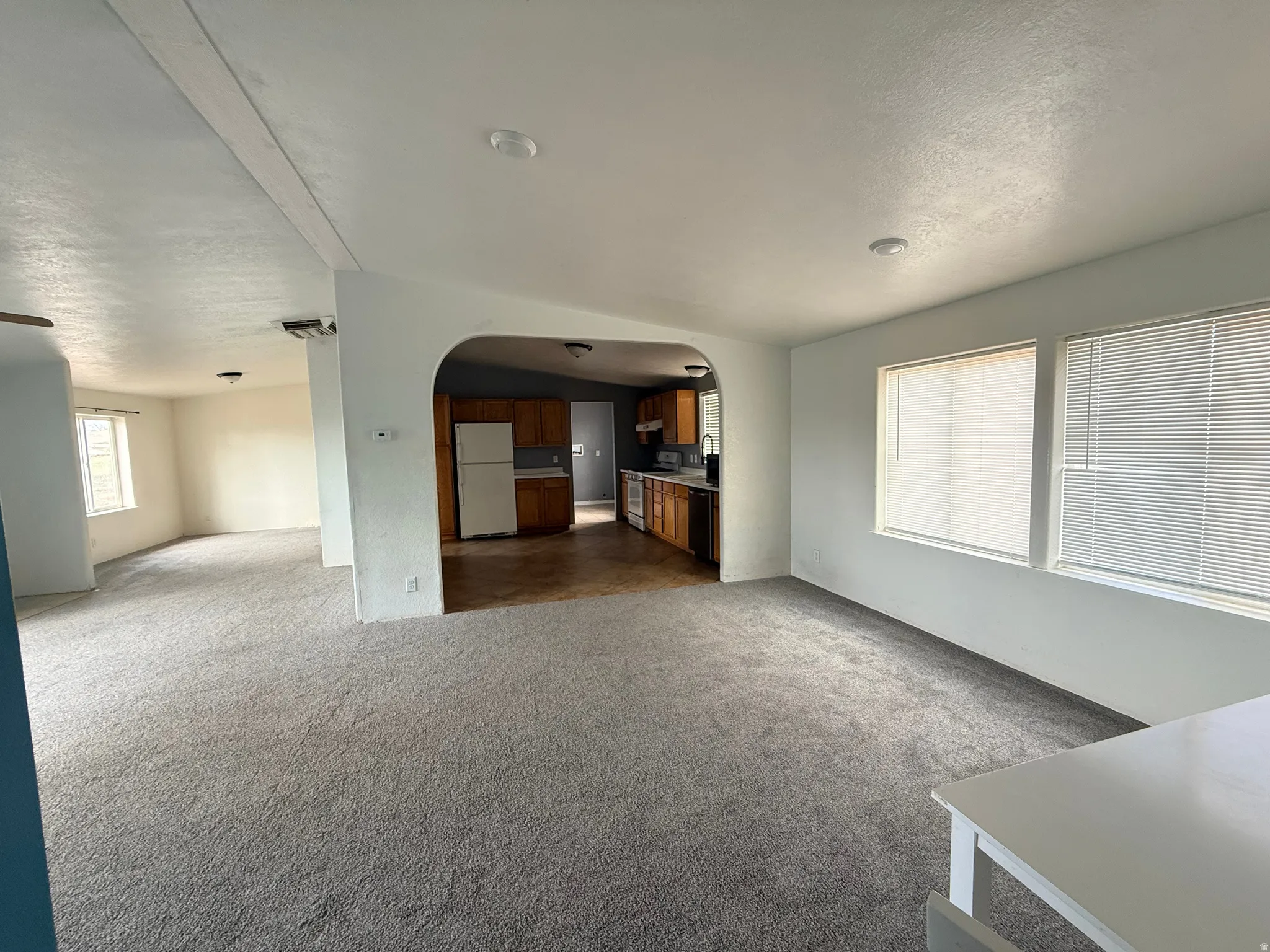 Open concept living area with light gray carpeting and multiple windows