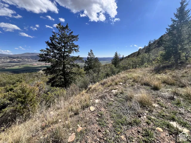 Sloping terrain with natural vegetation and scattered rocks