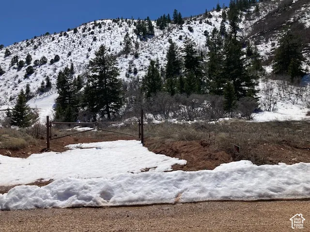 Mountainous terrain with evergreen trees and natural vegetation