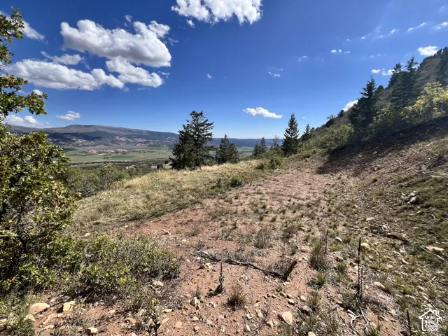 Expansive mountain terrain featuring natural vegetation and distant valley