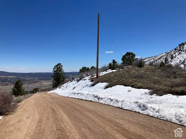 Gravel road ascending a snow-covered incline with a utility pole and scattered evergreen trees
