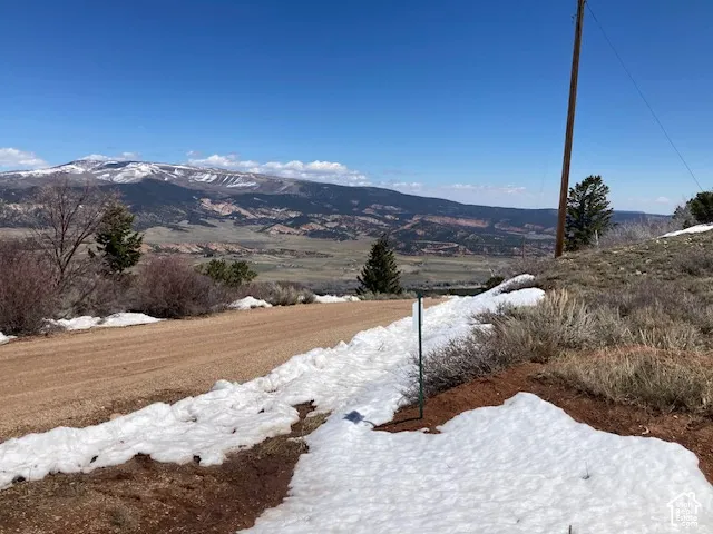 Unpaved road with natural ground cover and distant mountains