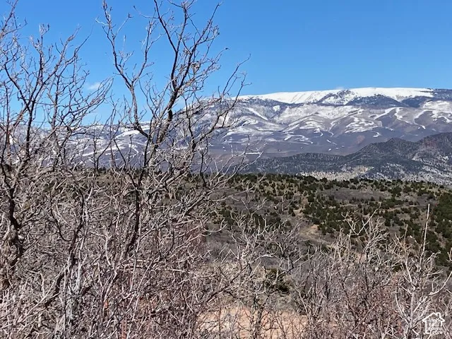 Expansive mountainous terrain with snow-capped peaks and forested slopes