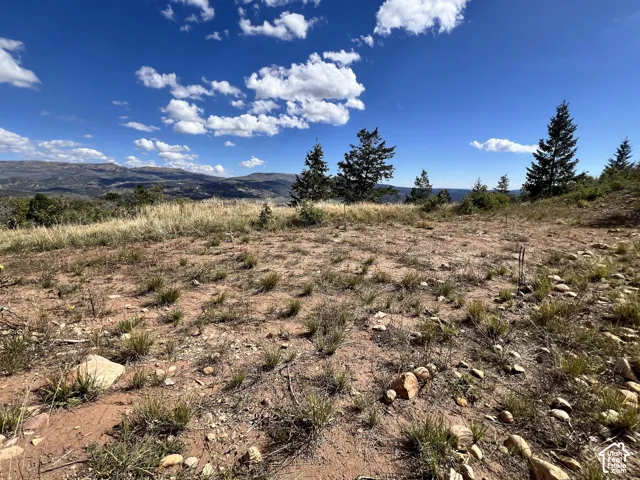 Expansive lot featuring natural terrain, distant mountainous landscape, and mature evergreens under a clear sky