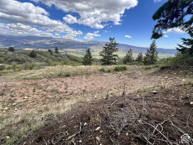Expansive lot featuring a natural landscape, scattered evergreens, and distant mountain scenery