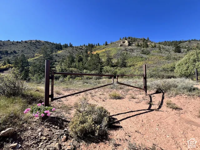Metal gate access with natural terrain, distant evergreen trees, and varied hillside vegetation