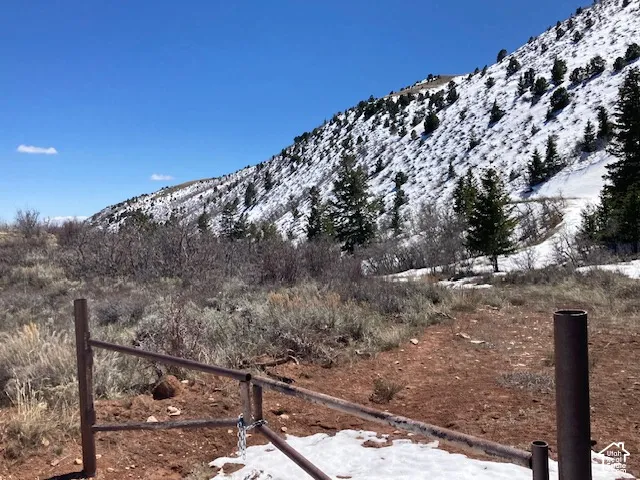 Snow-covered mountain terrain with scattered evergreen trees and sparse vegetation, featuring a metal gate