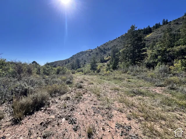 Expansive land parcel featuring natural terrain and mature trees