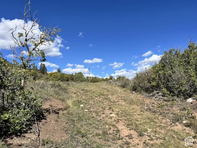 Expansive land parcel featuring natural terrain and mature foliage