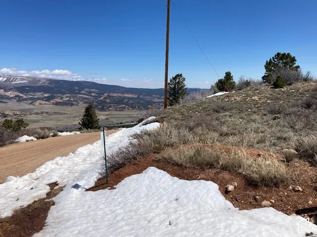 Expansive terrain featuring a gravel road, mountainous backdrop, mature trees, and varied ground cover
