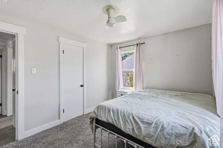 Carpeted room featuring a ceiling fan, a window with natural light, and white trim