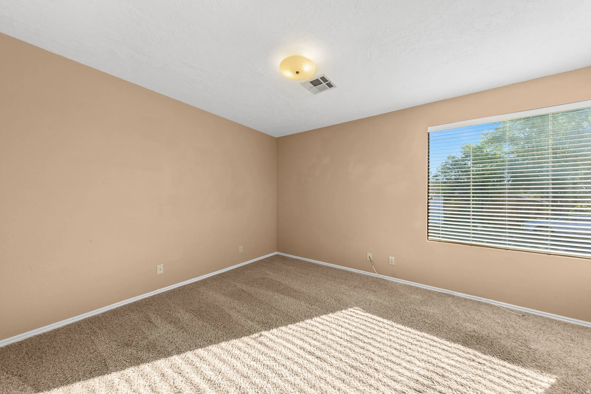 Bedroom 2. Carpeted room with neutral-toned walls, a large window with horizontal blinds, and a flush-mount ceiling light fixture