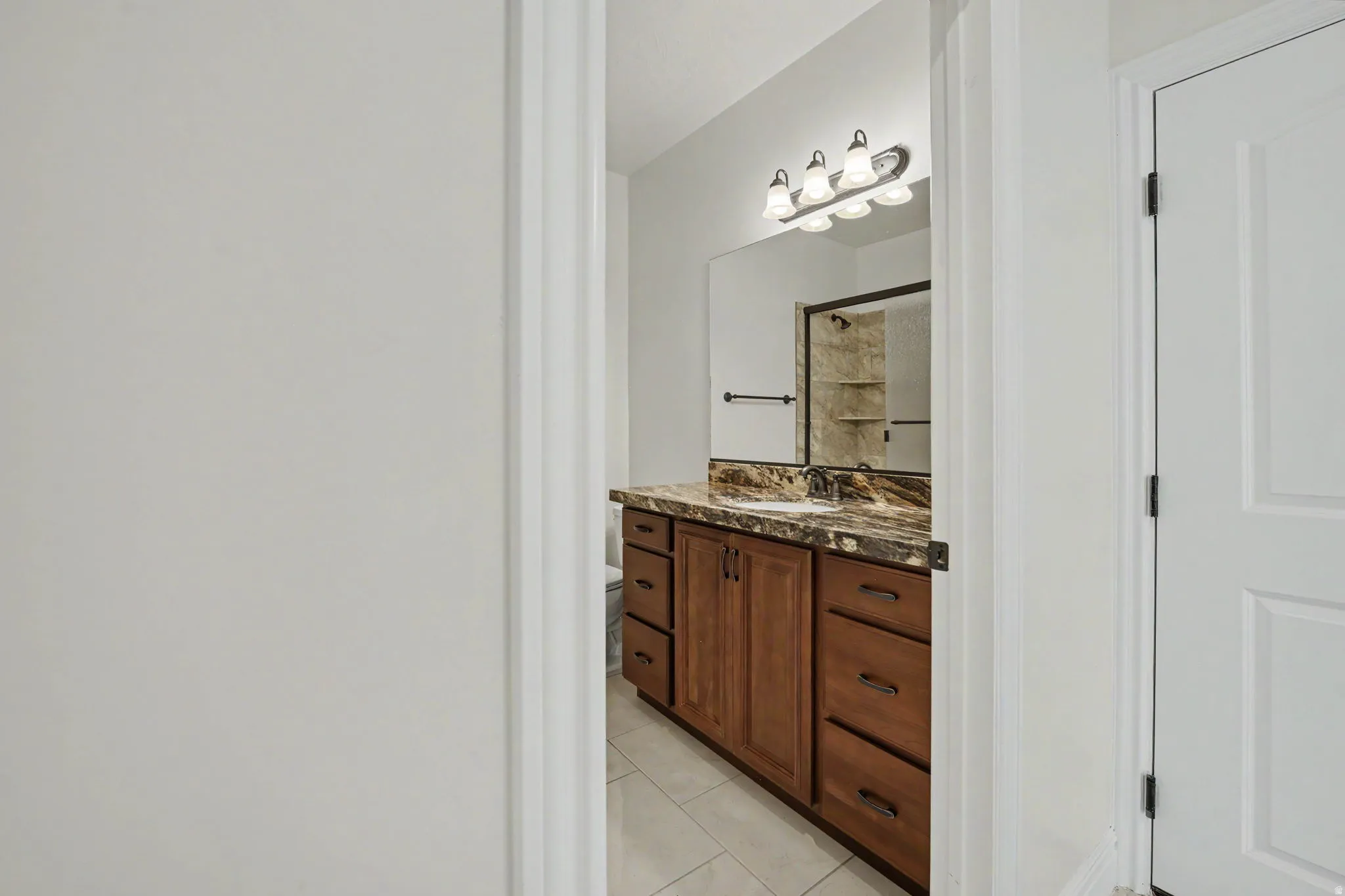Bathroom featuring a wood-finish vanity with a stone-finish countertop, undermount sink, and a four-light vanity fixture