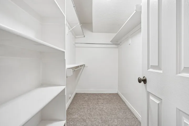 Walk-in closet featuring built-in shelving, clothing rods, and textured carpeting