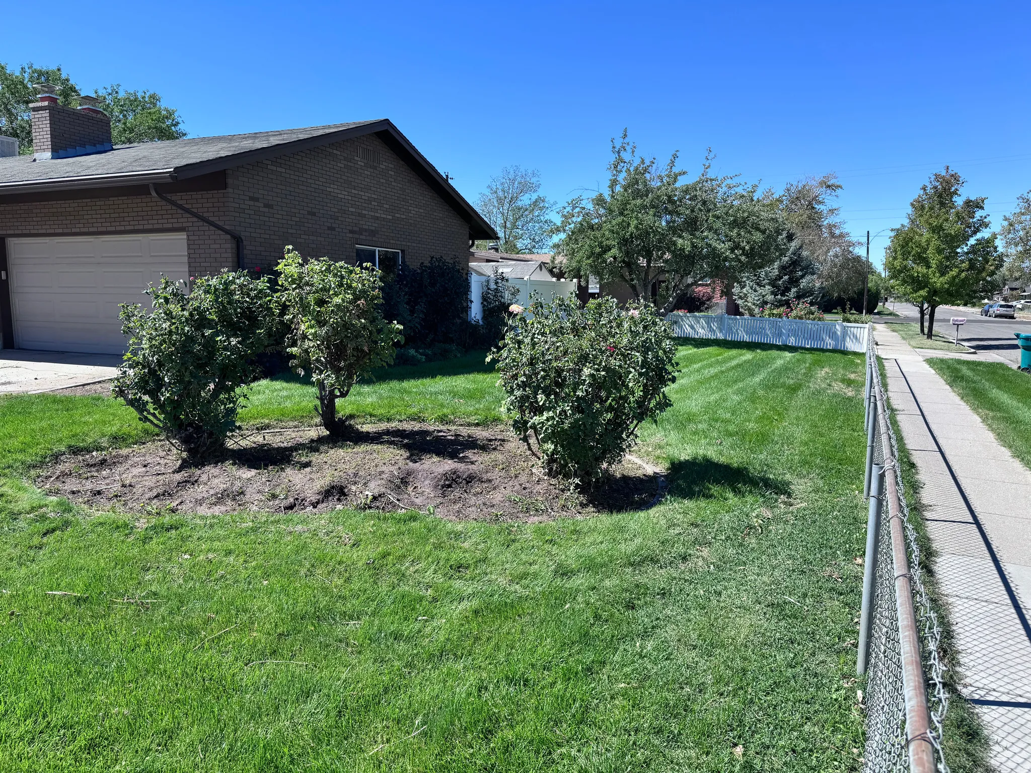 Brick exterior with a gabled roofline, attached garage, and a mature front yard with established shrubs