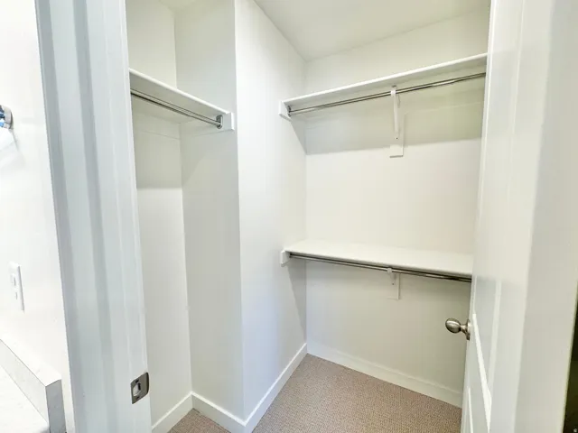 Walk-in closet with carpet flooring, dual shelving, and chrome hanging rods