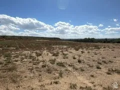 South view of the property.