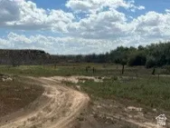 Expansive open land showing the fenceline of the property.