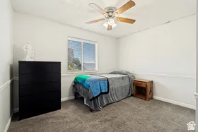 Neutral wall paint, textured ceiling, window with blinds, ceiling fan, and carpeted flooring