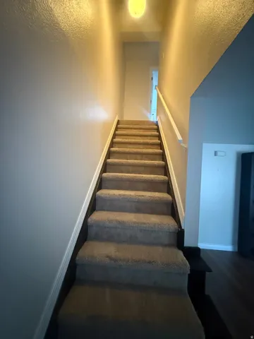 Carpeted staircase with white handrail and trim