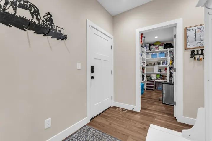 Walk-in pantry with extensive shelving, wood-finish flooring, and light neutral wall tones