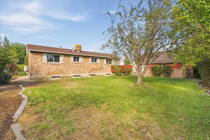 Expansive backyard featuring a mature deciduous tree, manicured lawn, and concrete-edged pathway