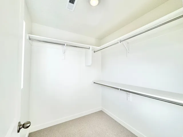 Walk-in closet featuring carpet flooring, built-in shelving, and clothes hanging rods