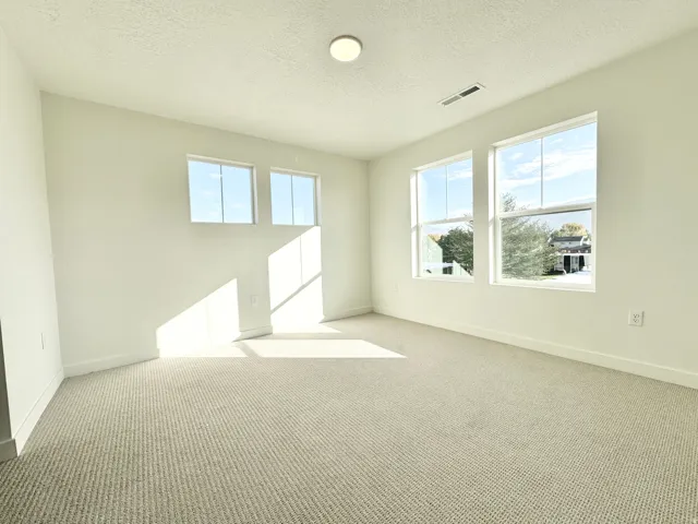 Spacious room with plush carpeting, multiple large windows, and a flush-mount ceiling light fixture