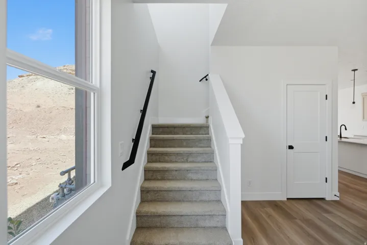 Staircase with carpeted treads and white wood-finish handrail