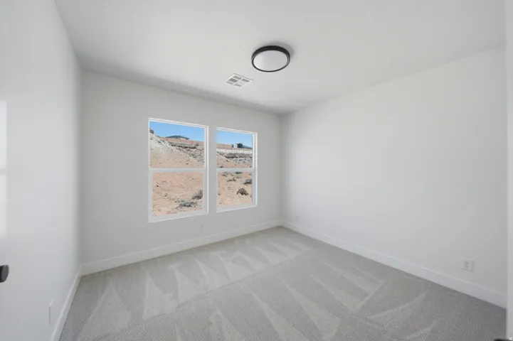 Neutral wall paint, patterned carpeting, two windows, and a flush-mount ceiling light