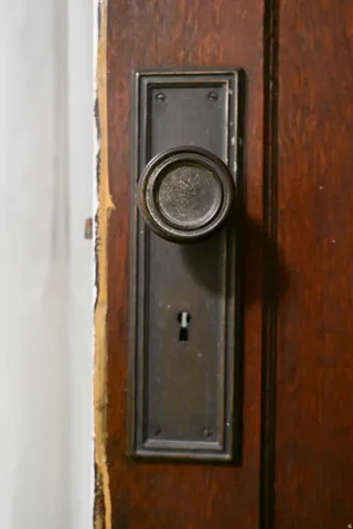 Wood-finish door with a dark-toned door handle and backplate