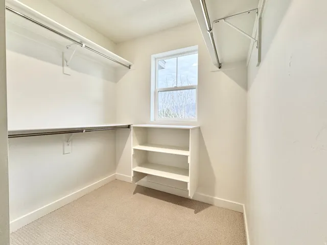 Built-in shelving, hanging rods, window, and carpet flooring