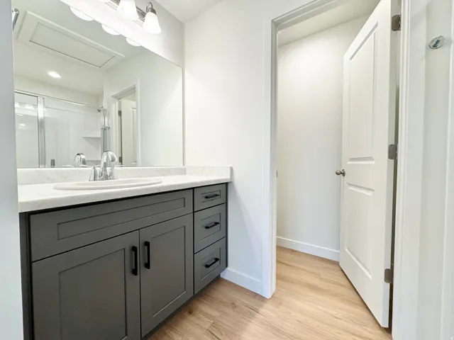 Vanity with a light-colored countertop and an undermount sink, dark cabinetry with matte black hardware, wood-finish flooring, and a mirrored wall