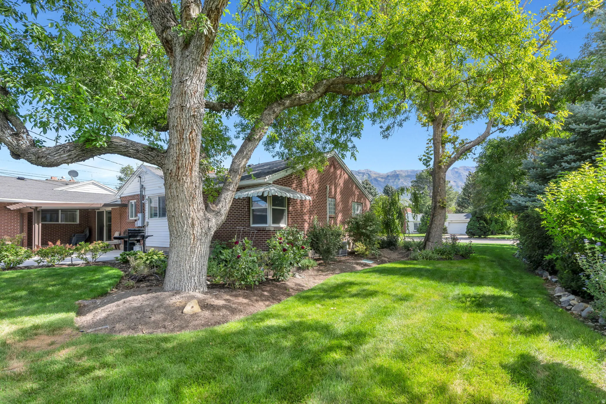 Expansive green lawn with mature trees and established landscaping