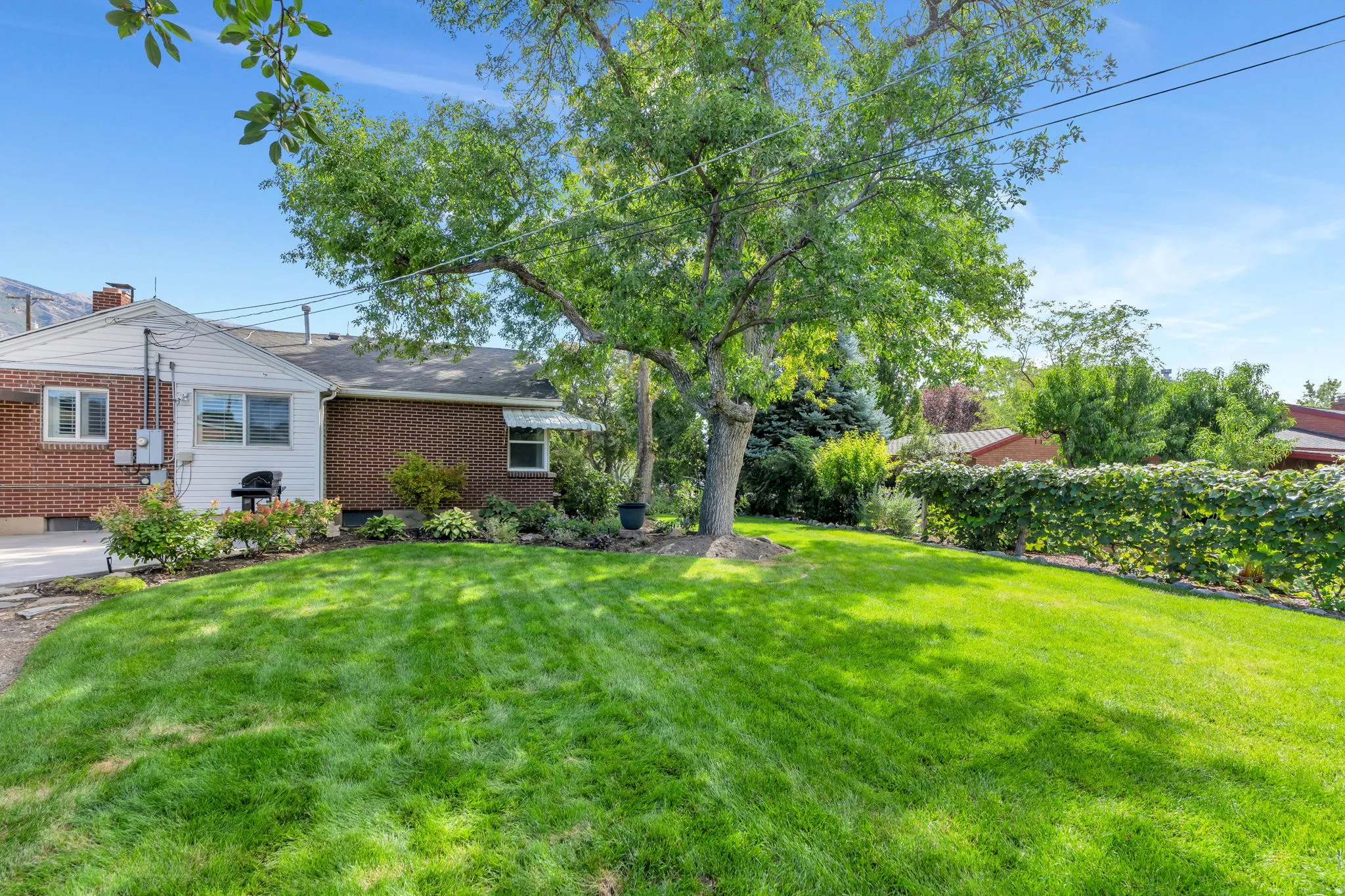 Expansive lawn with mature shade tree, brick exterior, and landscaped garden beds