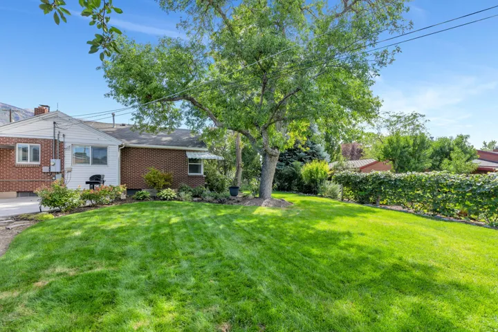Expansive lawn with mature shade tree, brick exterior, and landscaped garden beds