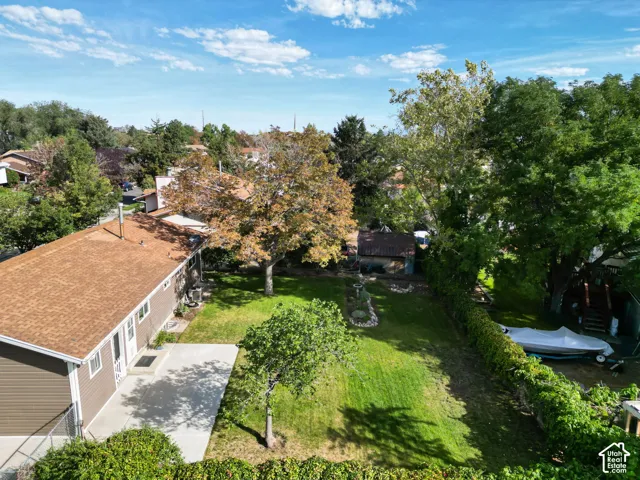 Expansive backyard featuring a manicured lawn, mature trees, and a concrete patio