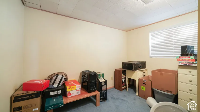 Carpeted room featuring a window with blinds and a drop ceiling