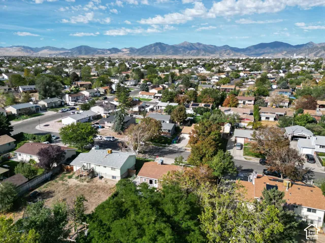 Residential neighborhood with mature trees and mountain backdrop