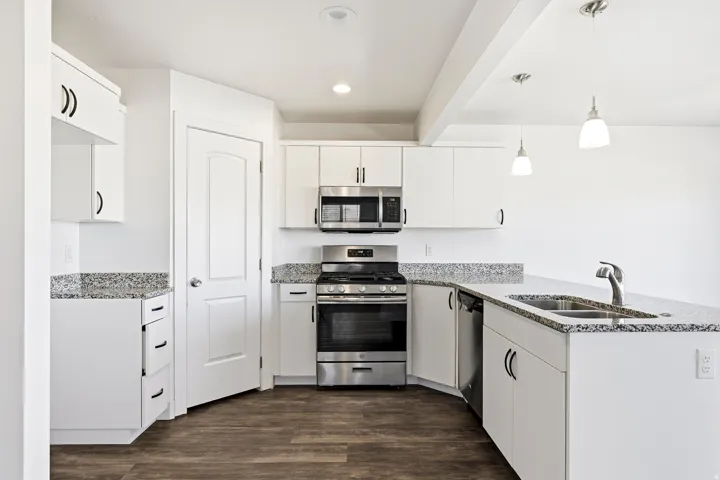 Kitchen featuring white cabinetry, stainless steel appliances, speckled countertops, wood-finish flooring, and pendant lighting