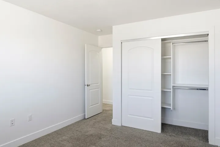 Plush carpet flooring, white walls, built-in closet shelving, and sliding closet doors