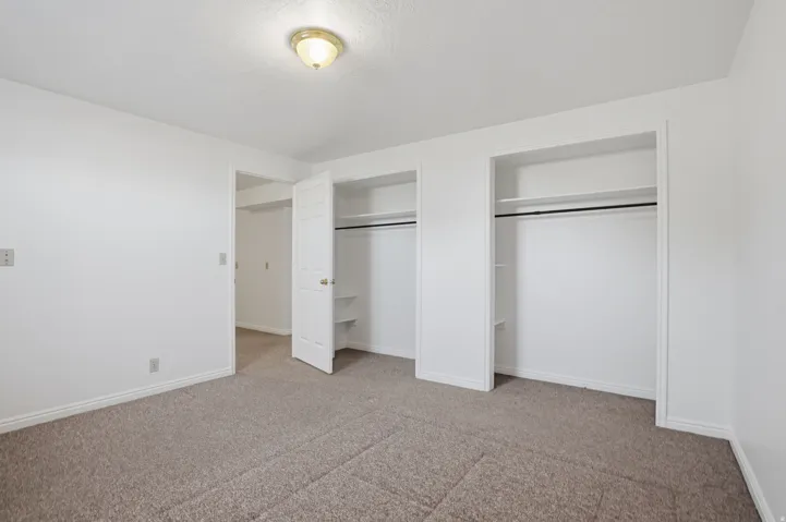 Carpeted room with white walls, two open closets featuring shelving and hanging rods, and a ceiling-mounted light fixture