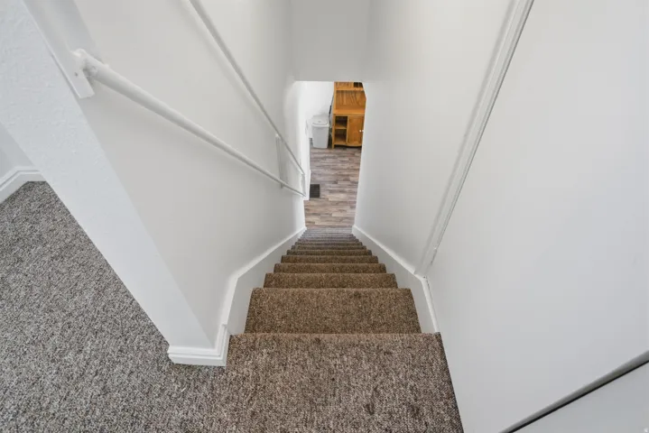 Carpeted stairs with white handrails and painted walls