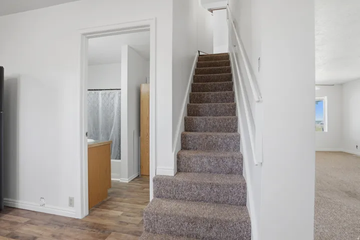 Staircase with carpeted treads and white handrails