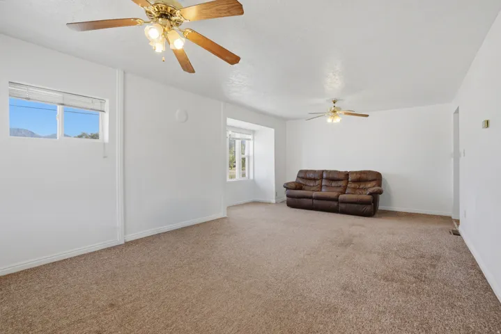 Expansive carpeted room featuring multiple windows, two ceiling fans, and a white color palette
