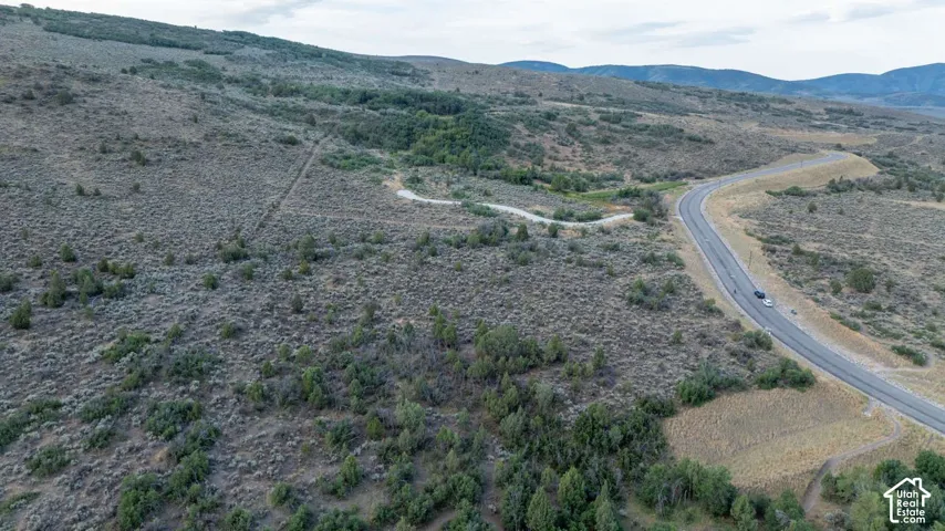 Roadway winding through undeveloped land with distant hills